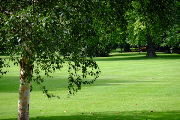 ロンドンの公園