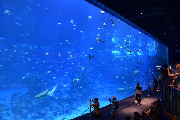 シンガポールの水族館